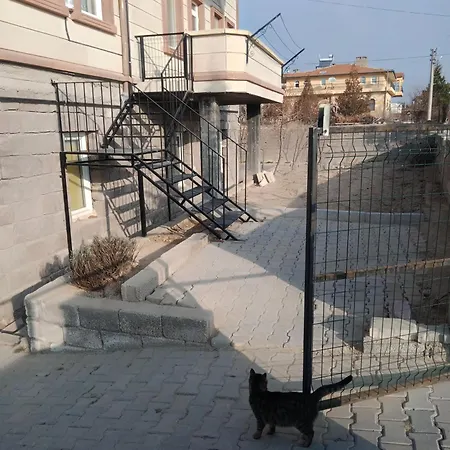 Kapadokya Denizhan *